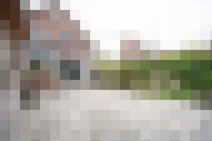 Kleine Haarsekade 22 Gorinchem thumbnail 36