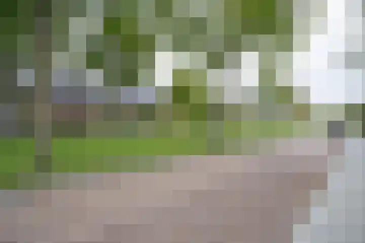Kleine Haarsekade 22 Gorinchem thumbnail 43