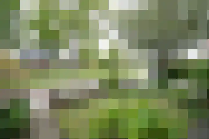 Kleine Haarsekade 22 Gorinchem thumbnail 6