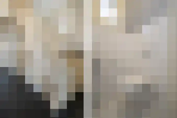 Kleine Haarsekade 22 Gorinchem thumbnail 8