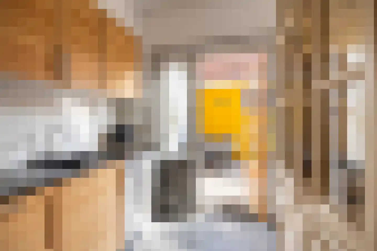 Kleine Haarsekade 30 Gorinchem thumbnail 14