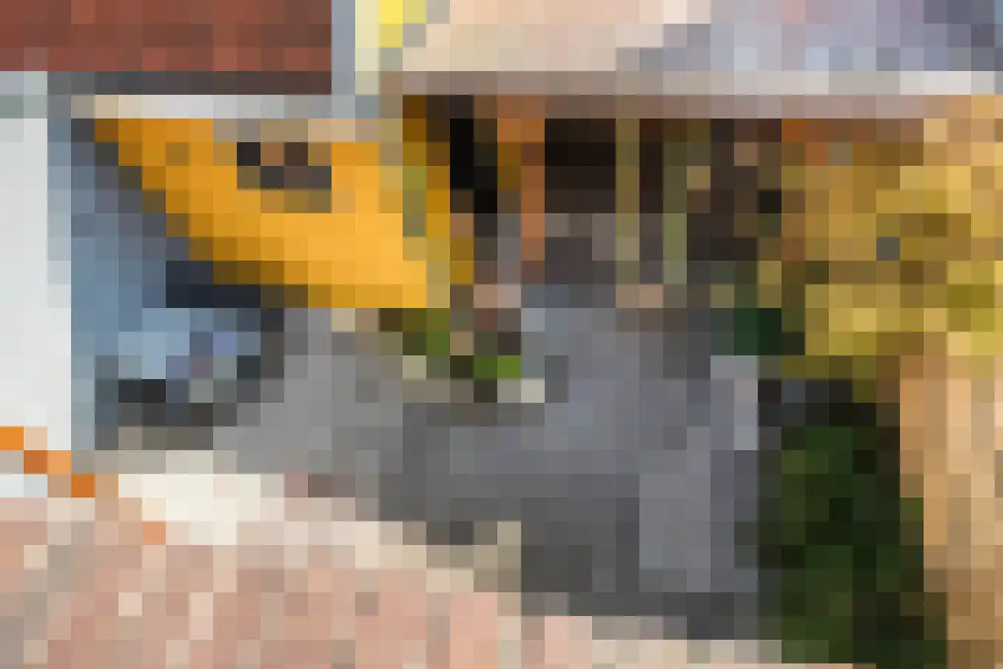 Kleine Haarsekade 30 Gorinchem thumbnail 27