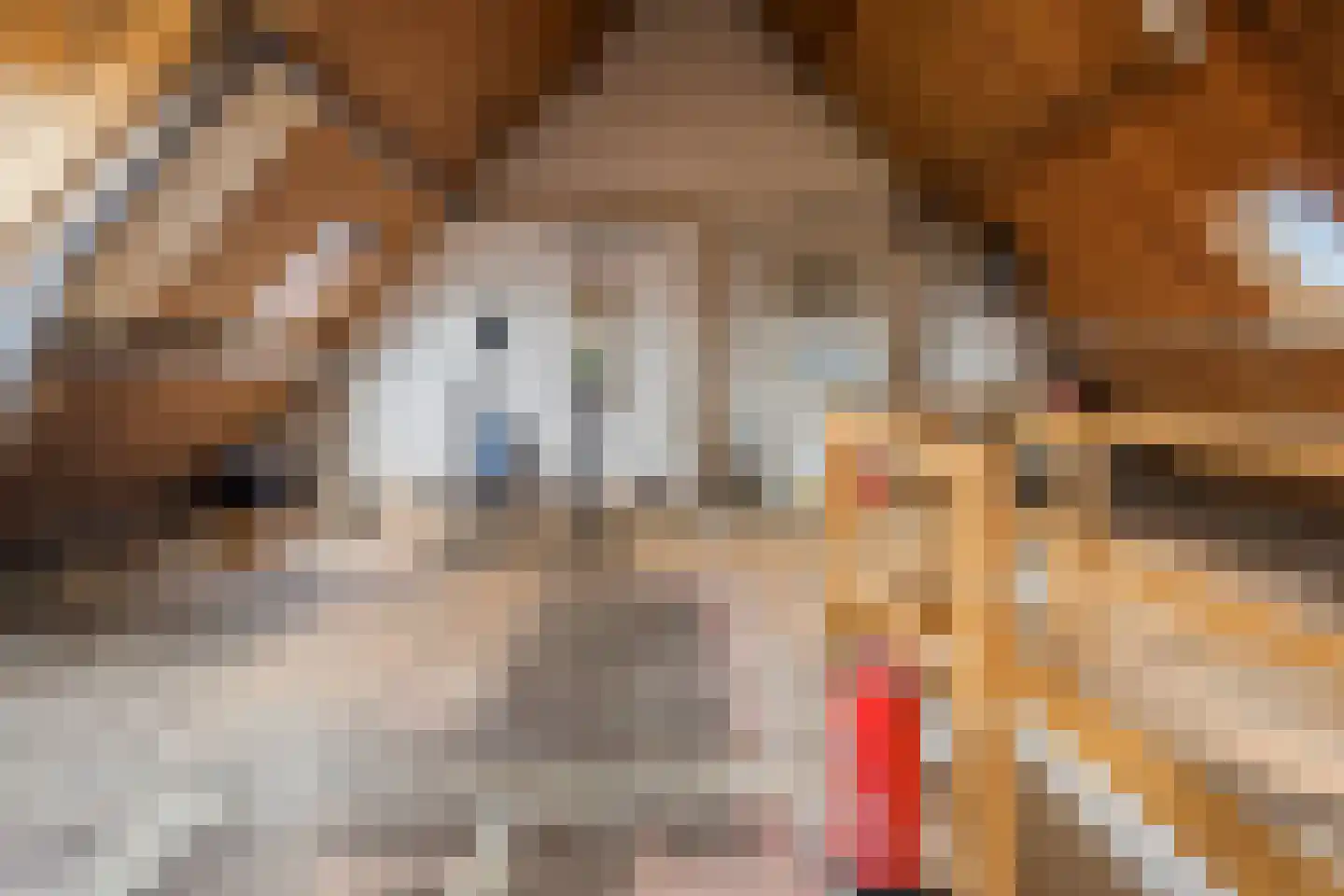 Kleine Haarsekade 30 Gorinchem thumbnail 35