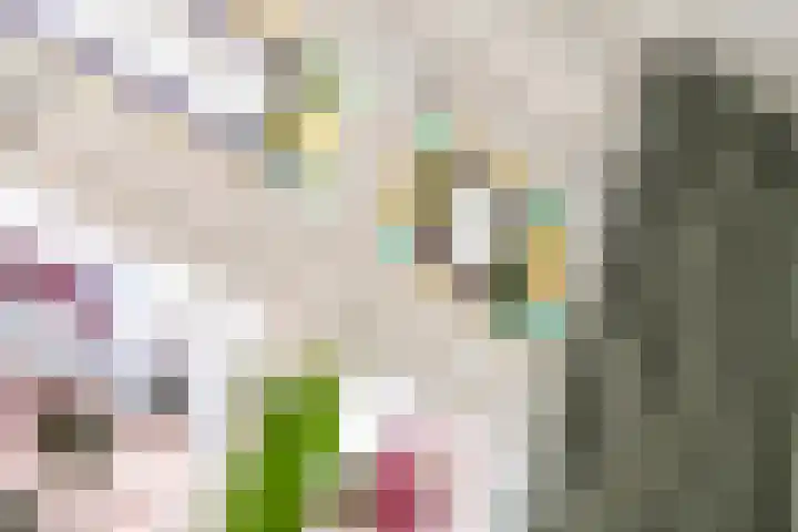 Kleine Haarsekade 32 Gorinchem thumbnail 12