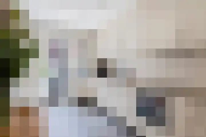 Kleine Haarsekade 32 Gorinchem thumbnail 17