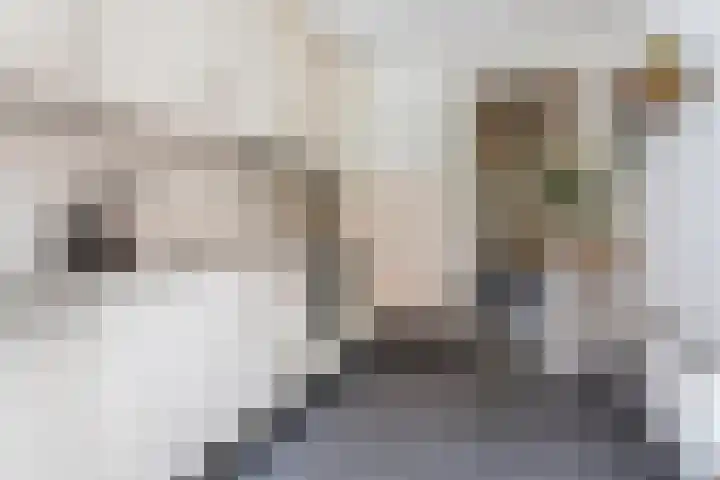Kleine Haarsekade 32 Gorinchem thumbnail 18