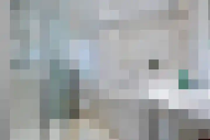 Kleine Haarsekade 32 Gorinchem thumbnail 26