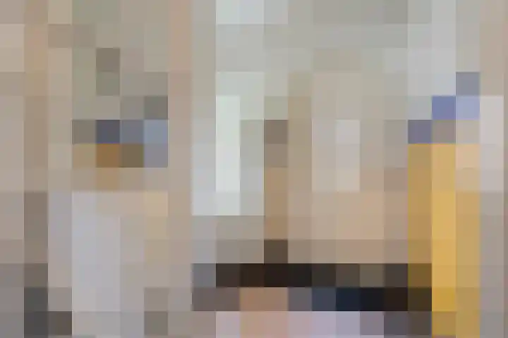 Kleine Haarsekade 32 Gorinchem thumbnail 7