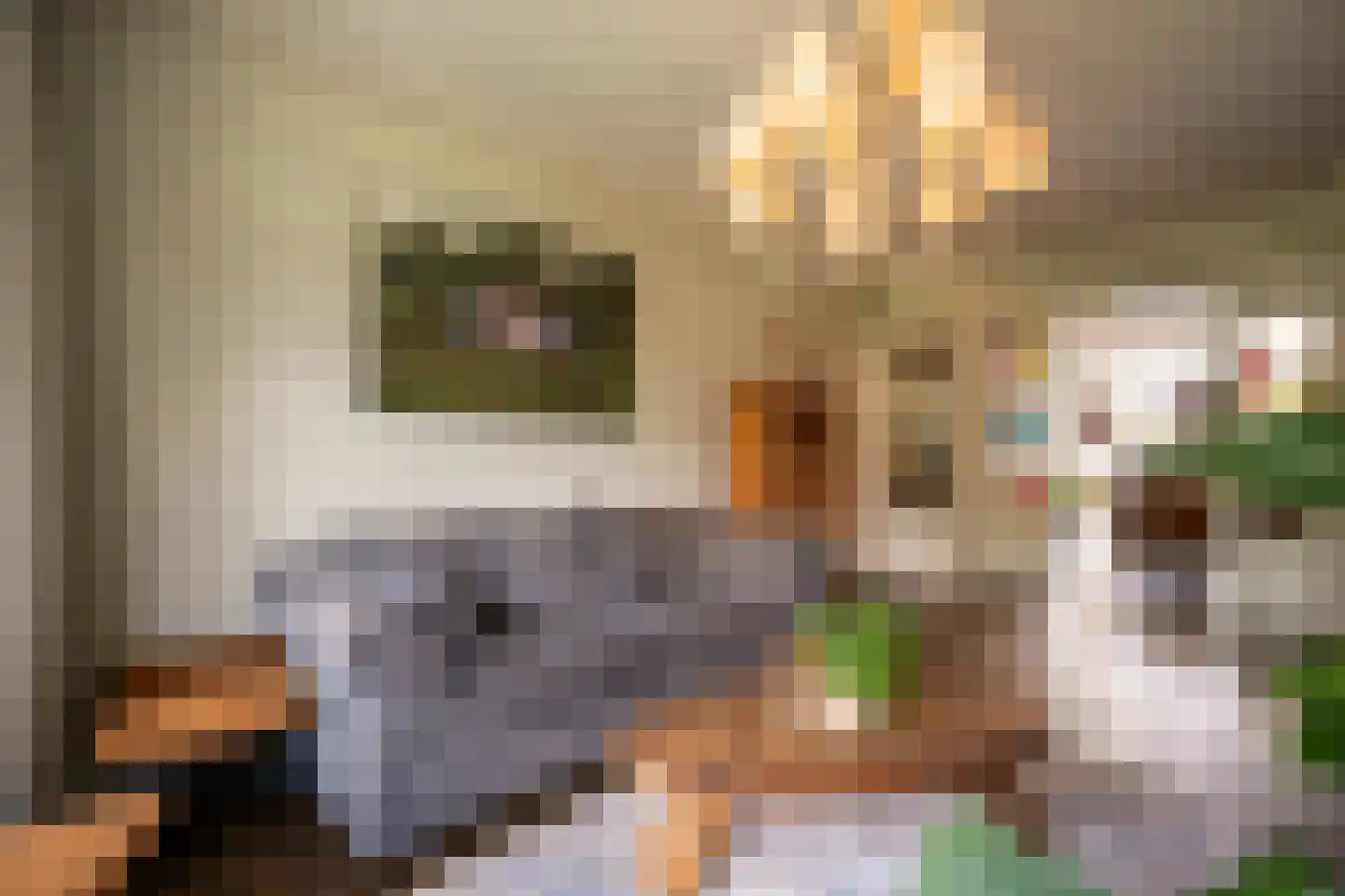 Kleine Haarsekade 46 Gorinchem thumbnail 16