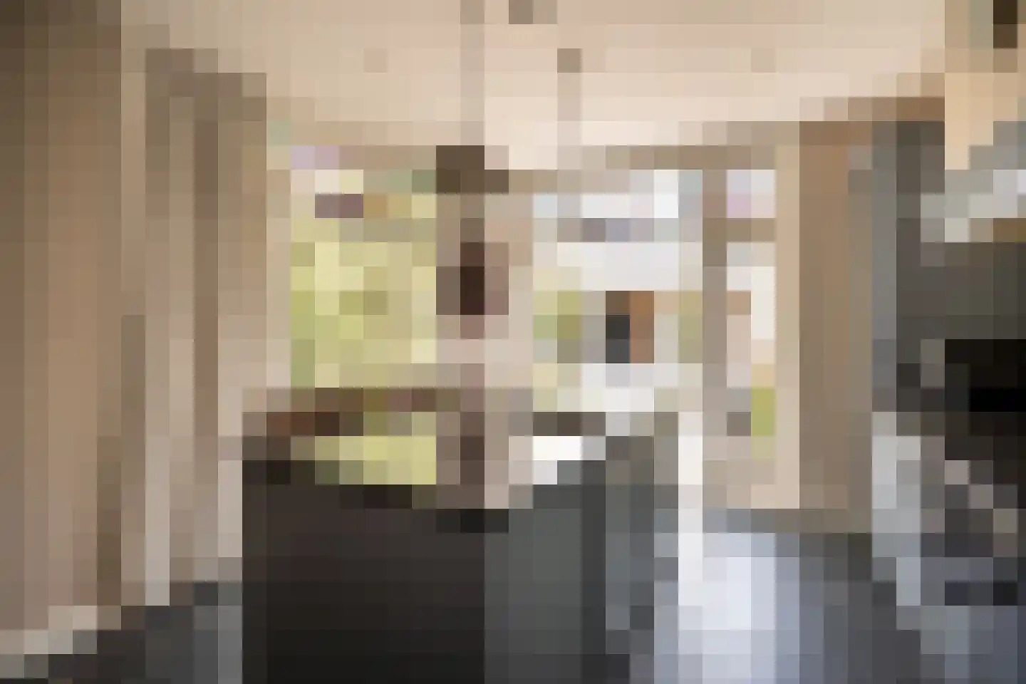 Kleine Haarsekade 46 Gorinchem thumbnail 20
