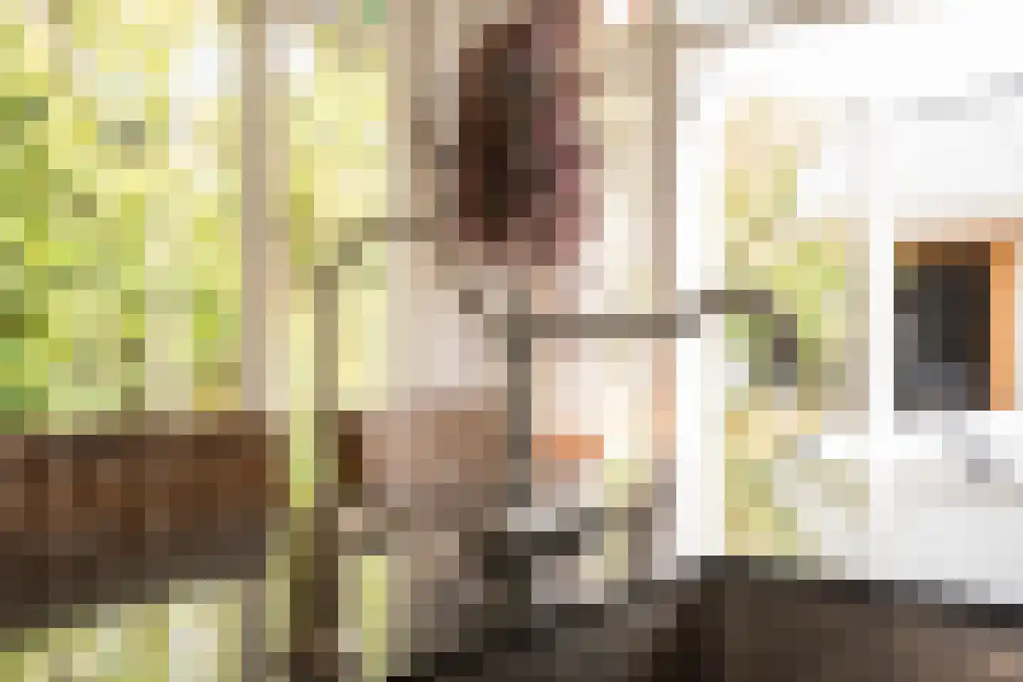 Kleine Haarsekade 46 Gorinchem thumbnail 21