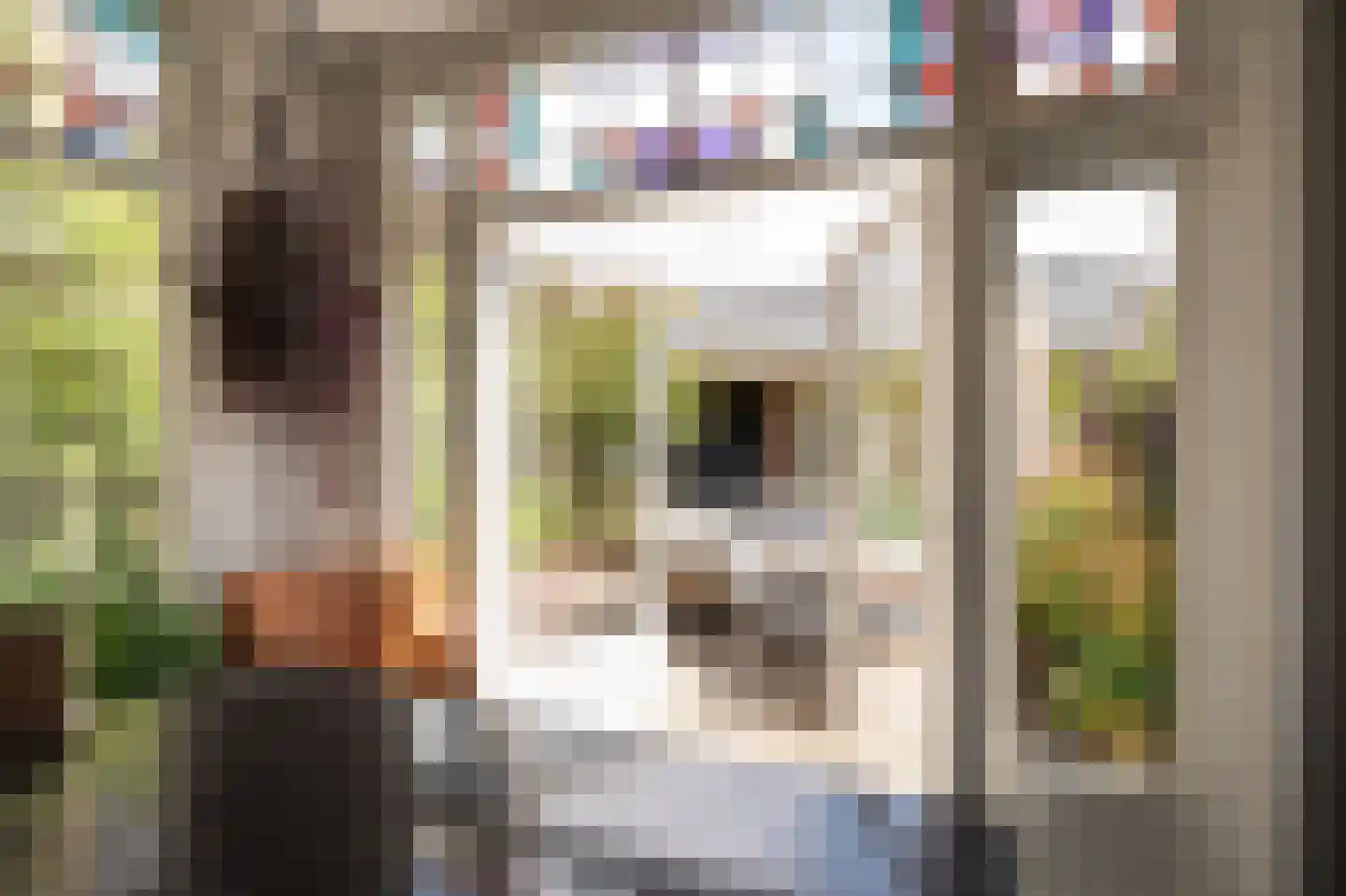 Kleine Haarsekade 46 Gorinchem thumbnail 22