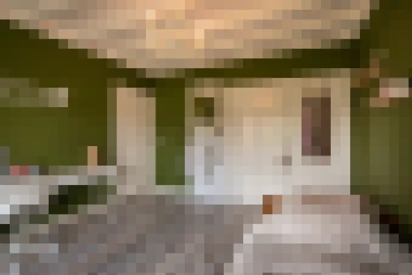 Kleine Haarsekade 46 Gorinchem thumbnail 35