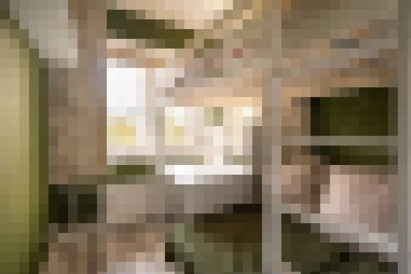 Kleine Haarsekade 46 Gorinchem thumbnail 38