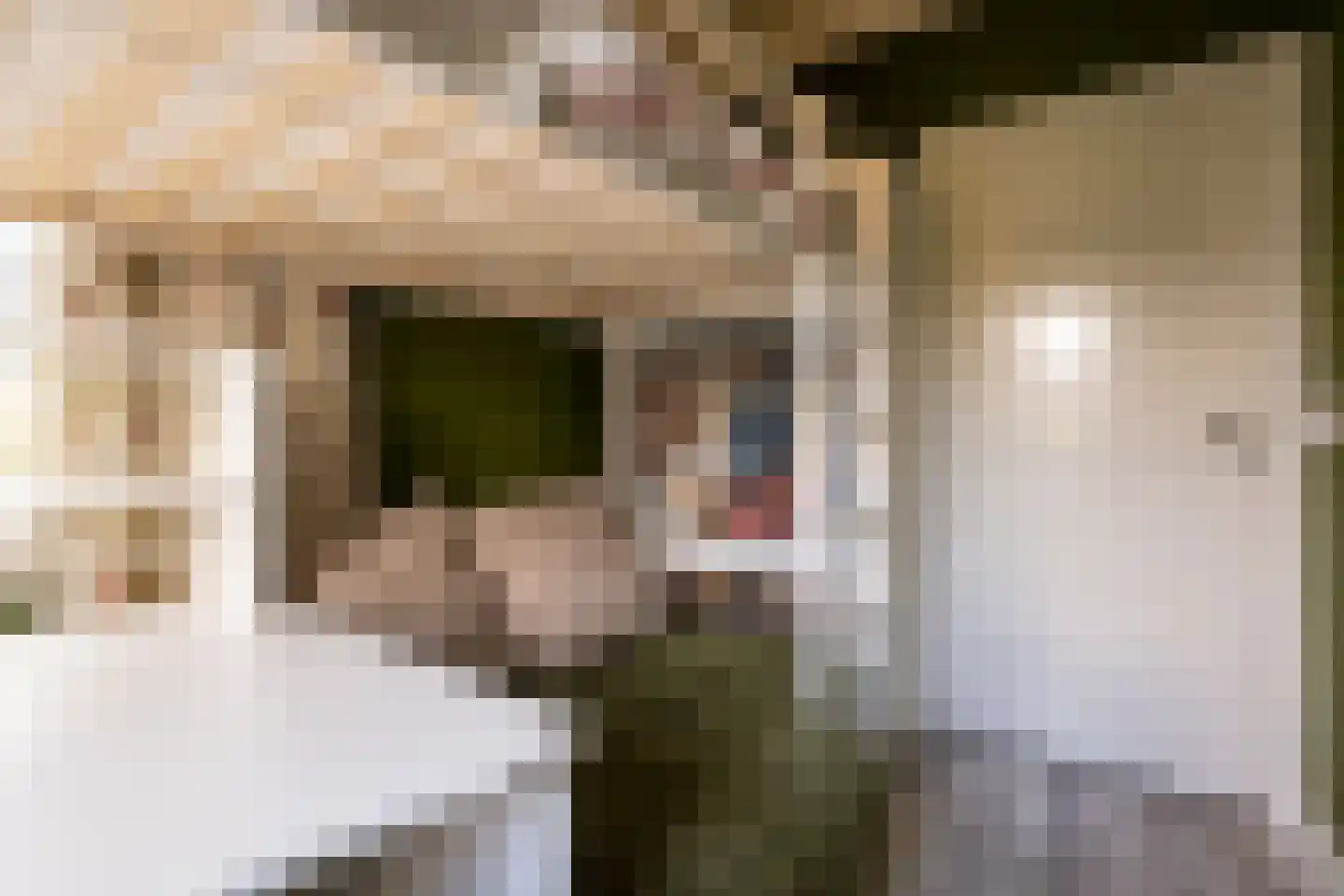 Kleine Haarsekade 46 Gorinchem thumbnail 39