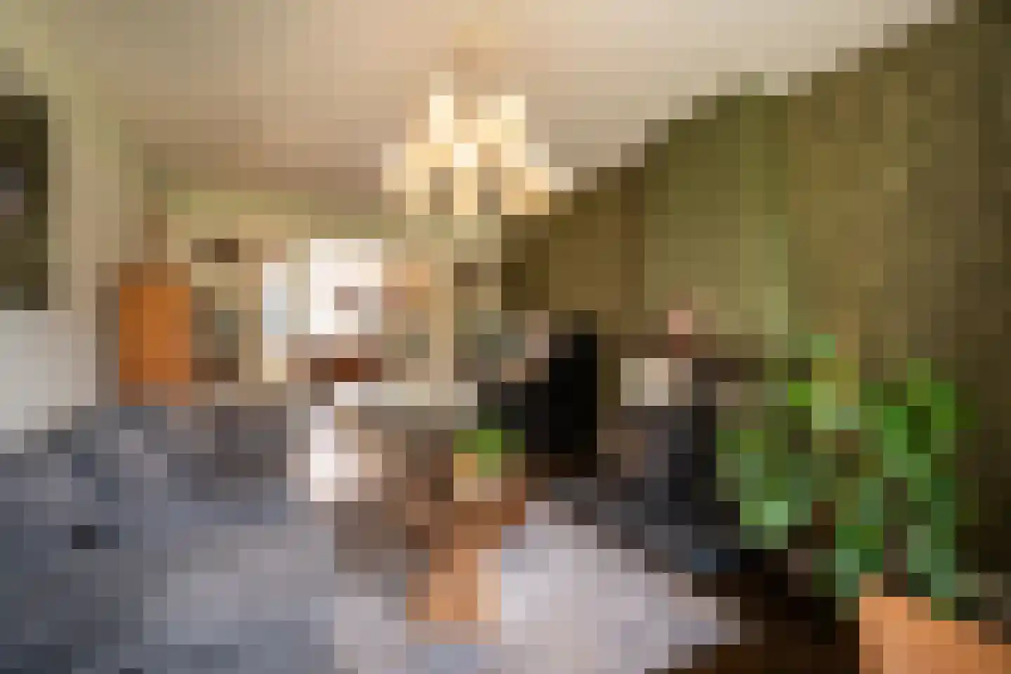 Kleine Haarsekade 46 Gorinchem thumbnail 4