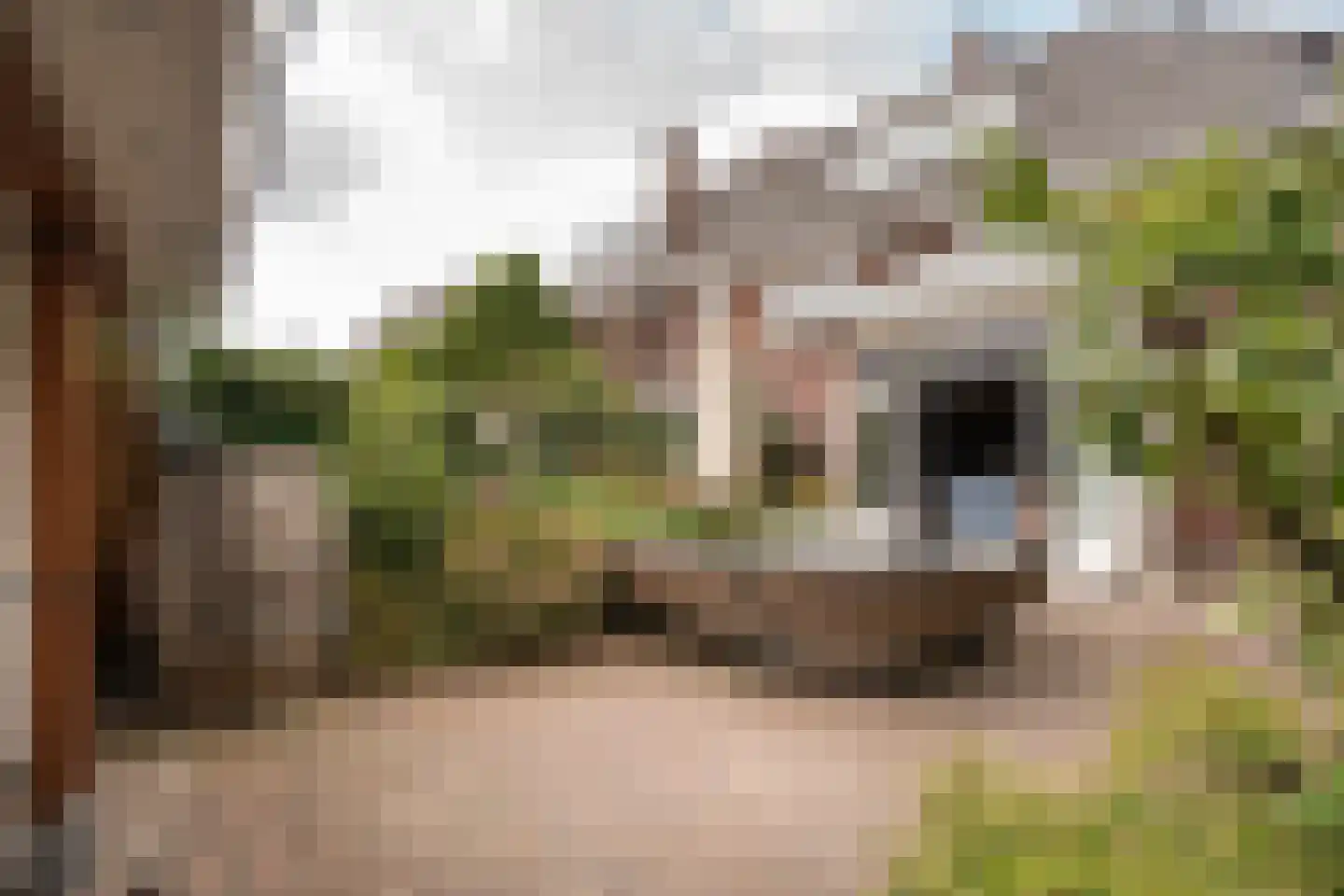 Kleine Haarsekade 46 Gorinchem thumbnail 48