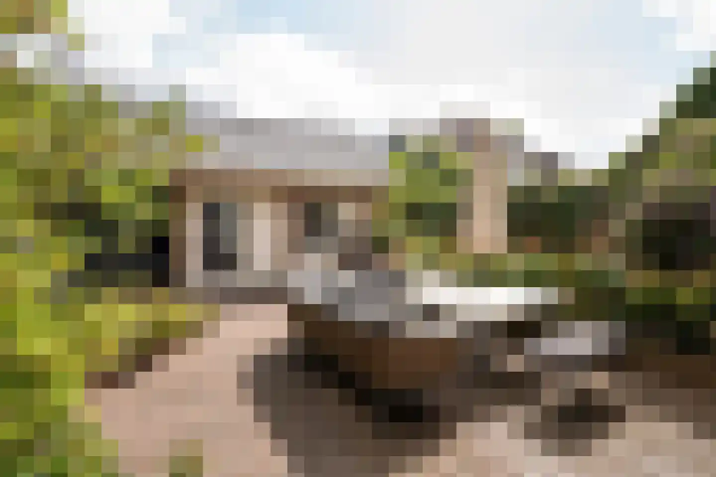 Kleine Haarsekade 46 Gorinchem thumbnail 50