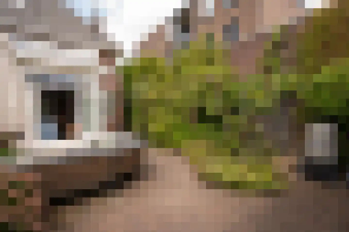 Kleine Haarsekade 46 Gorinchem thumbnail 55