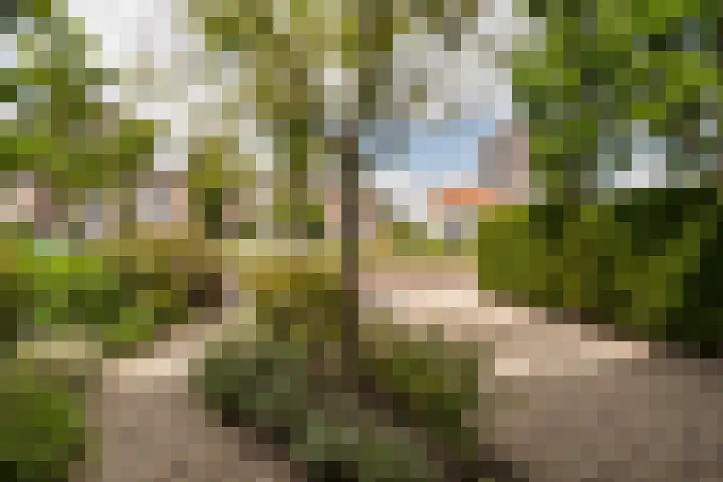 Kleine Haarsekade 46 Gorinchem thumbnail 57