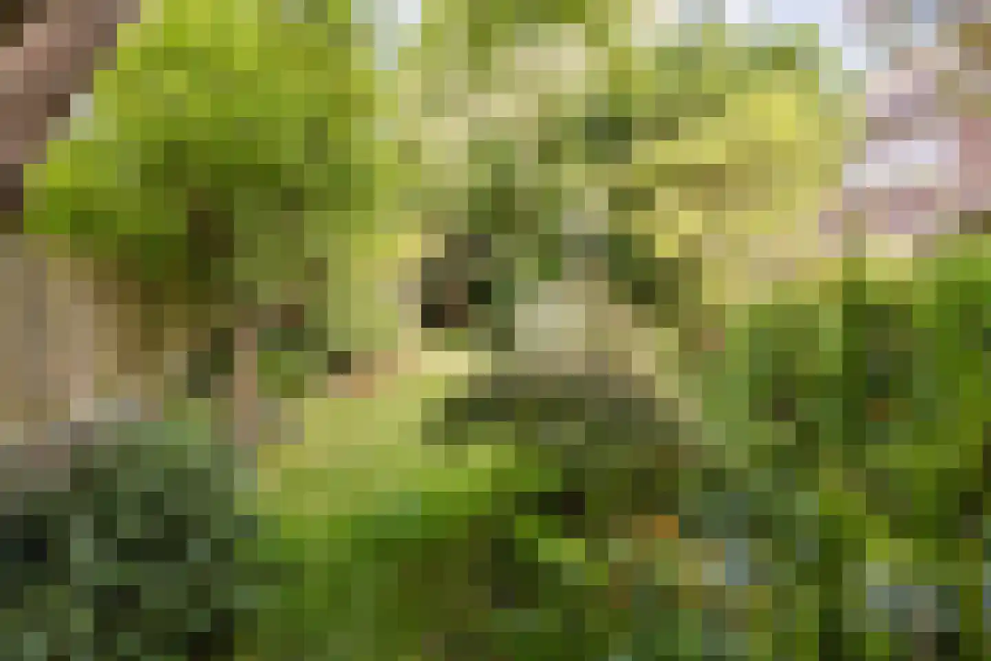 Kleine Haarsekade 84 Gorinchem thumbnail 11