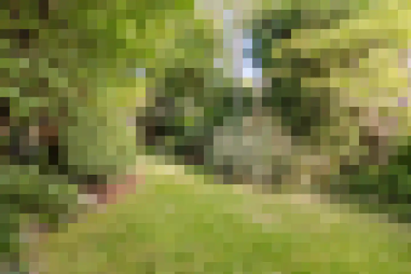 Kleine Haarsekade 84 Gorinchem thumbnail 12