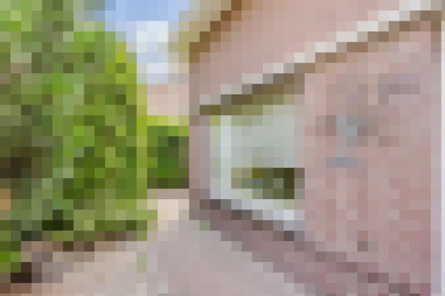 Kleine Haarsekade 84 Gorinchem thumbnail 14