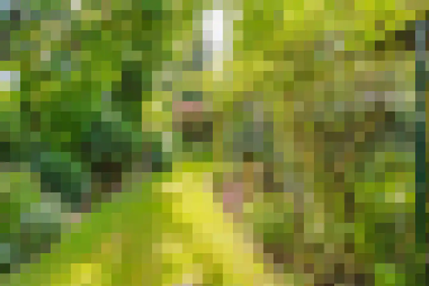 Kleine Haarsekade 84 Gorinchem thumbnail 9