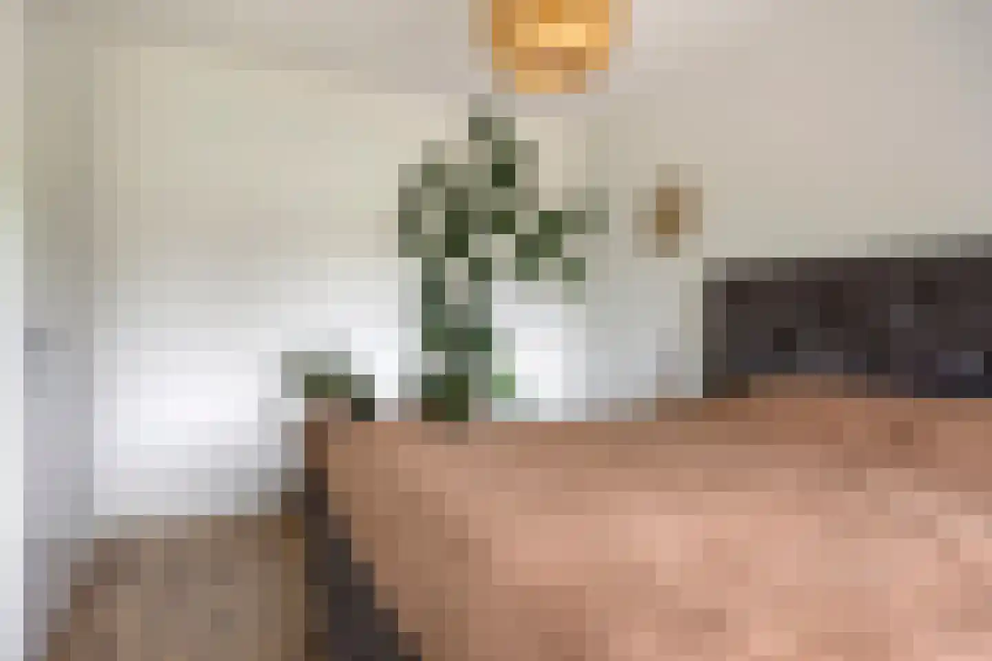 Kleine Hagen 16 Laag Zuthem thumbnail 17