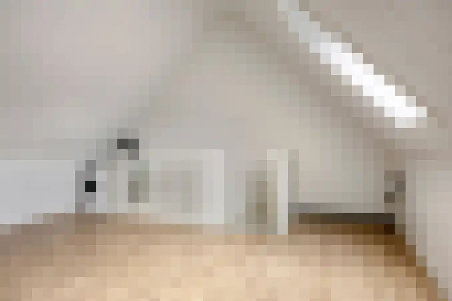 Kleine Hagen 16 Laag Zuthem thumbnail 27