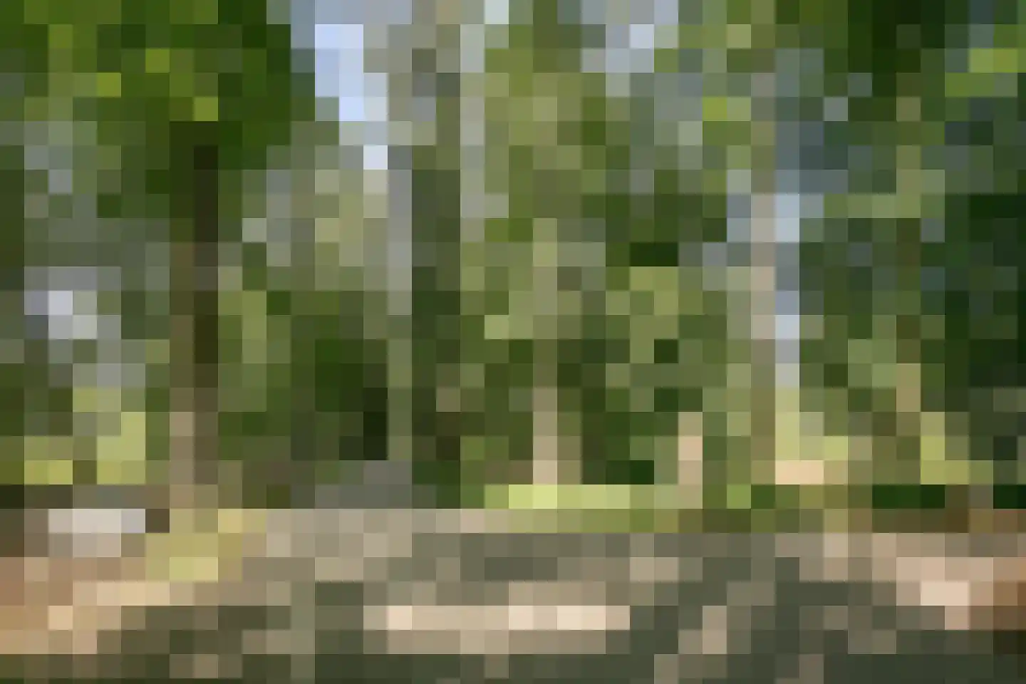 Kleine Hagen 16 Laag Zuthem thumbnail 38