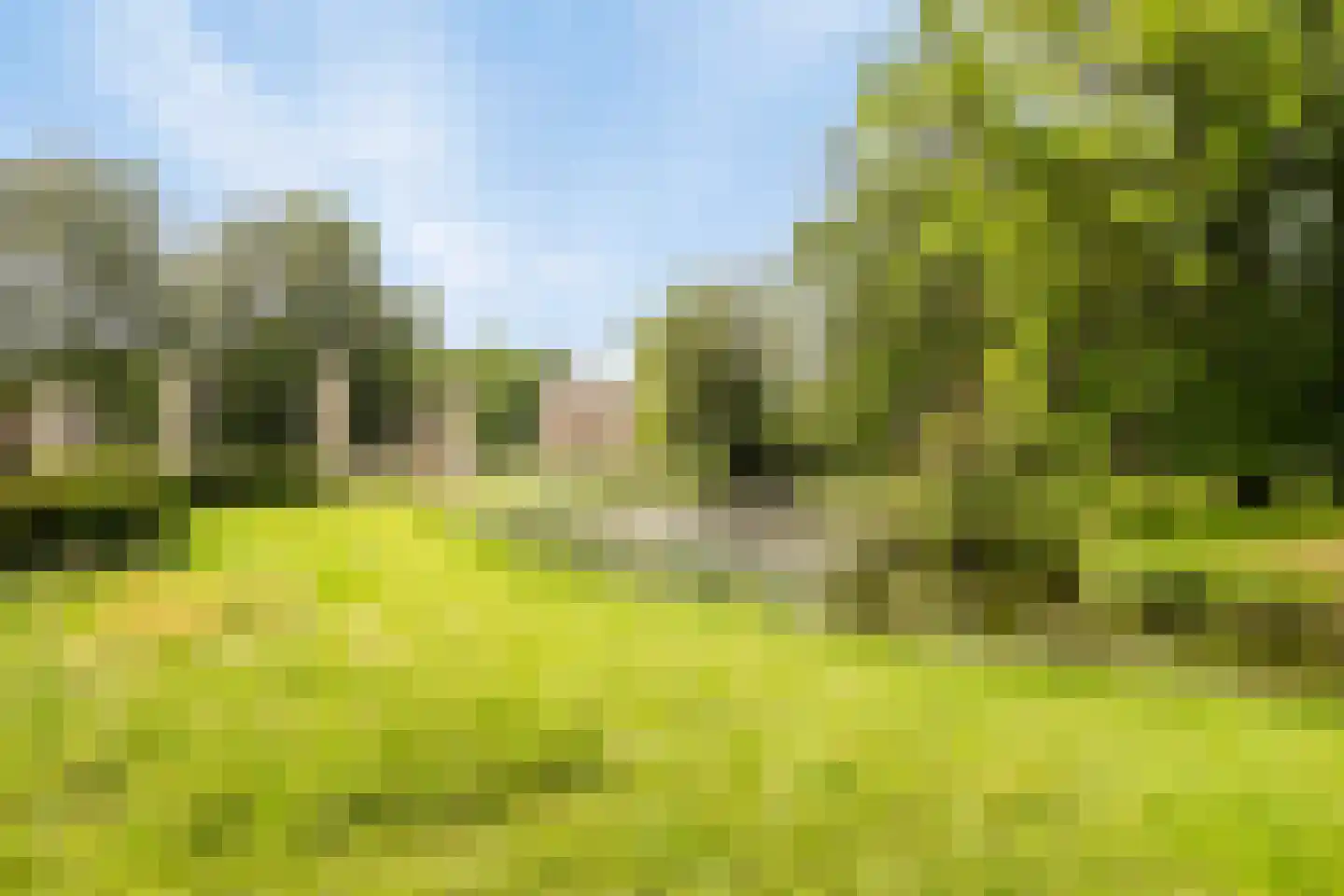Kleine Hagen 16 Laag Zuthem thumbnail 39