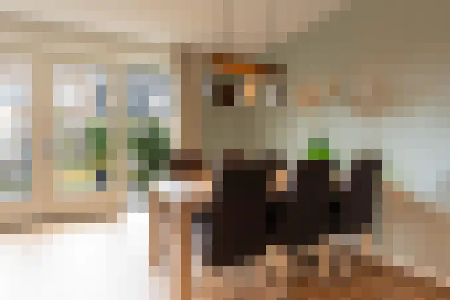 Kleine Hagen 36 Laag Zuthem thumbnail 13