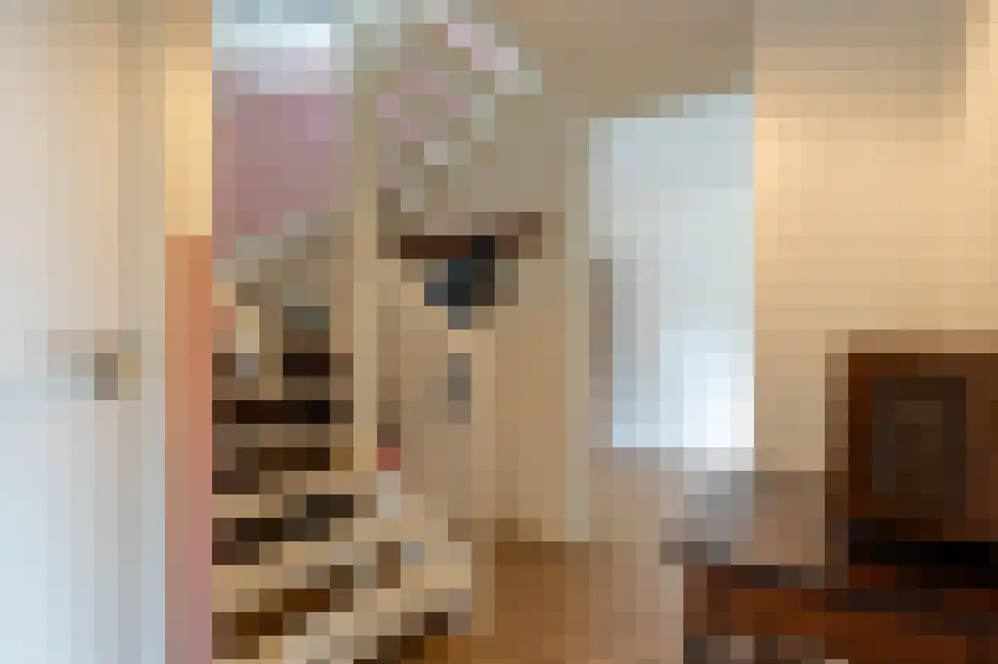 Kleine Hagen 36 Laag Zuthem thumbnail 20