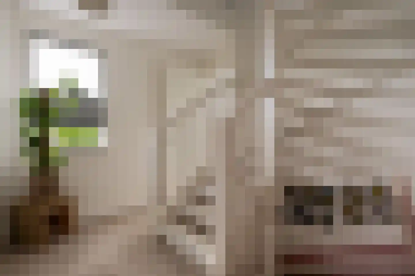 Kleine Hagen 36 Laag Zuthem thumbnail 35