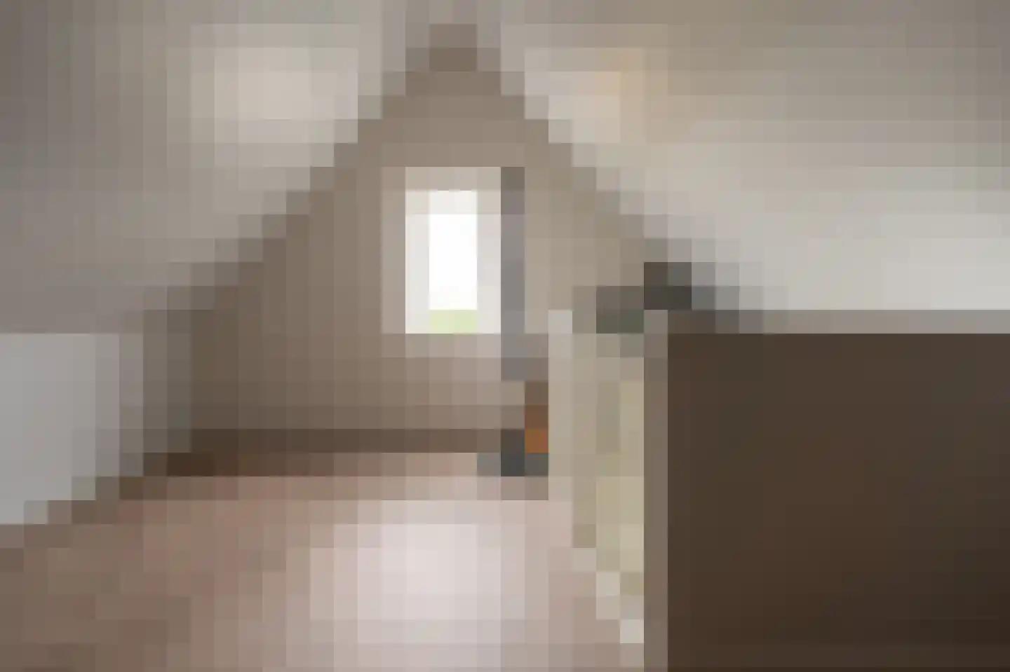 Kleine Hagen 36 Laag Zuthem thumbnail 37