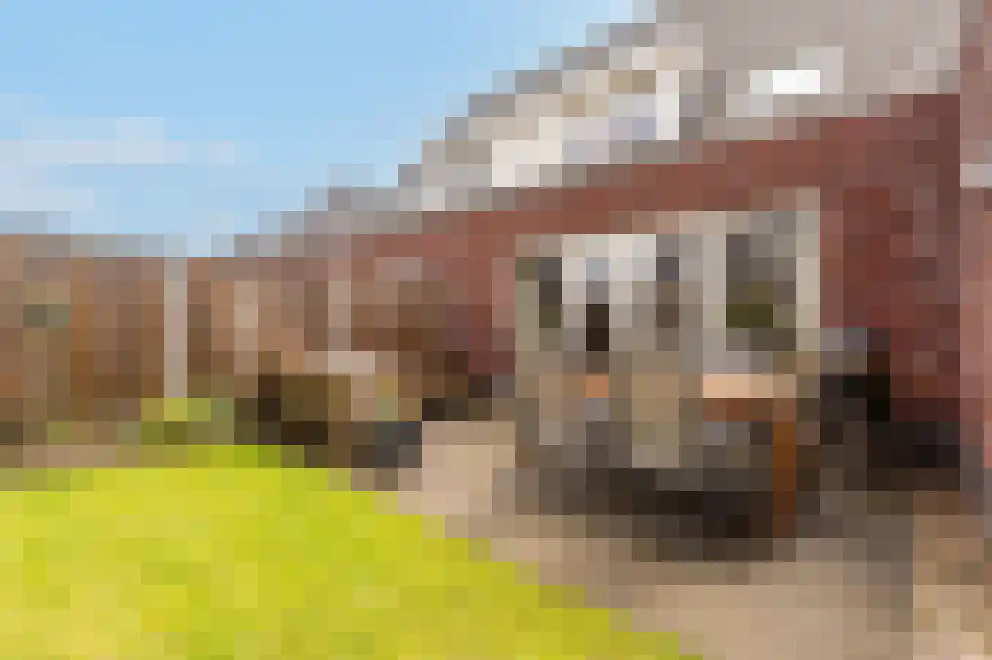 Kleine Hagen 36 Laag Zuthem thumbnail 43