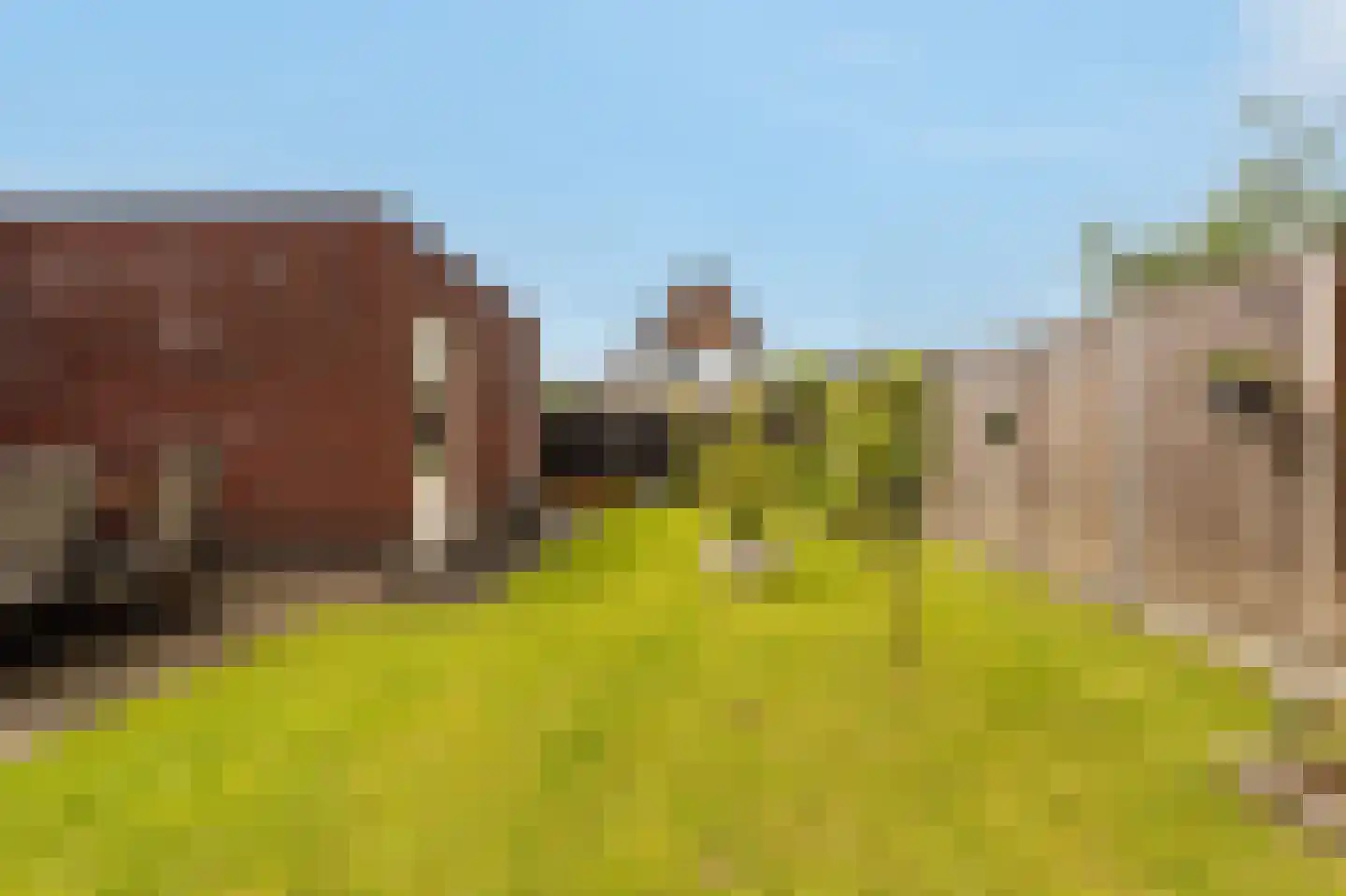 Kleine Hagen 36 Laag Zuthem thumbnail 49