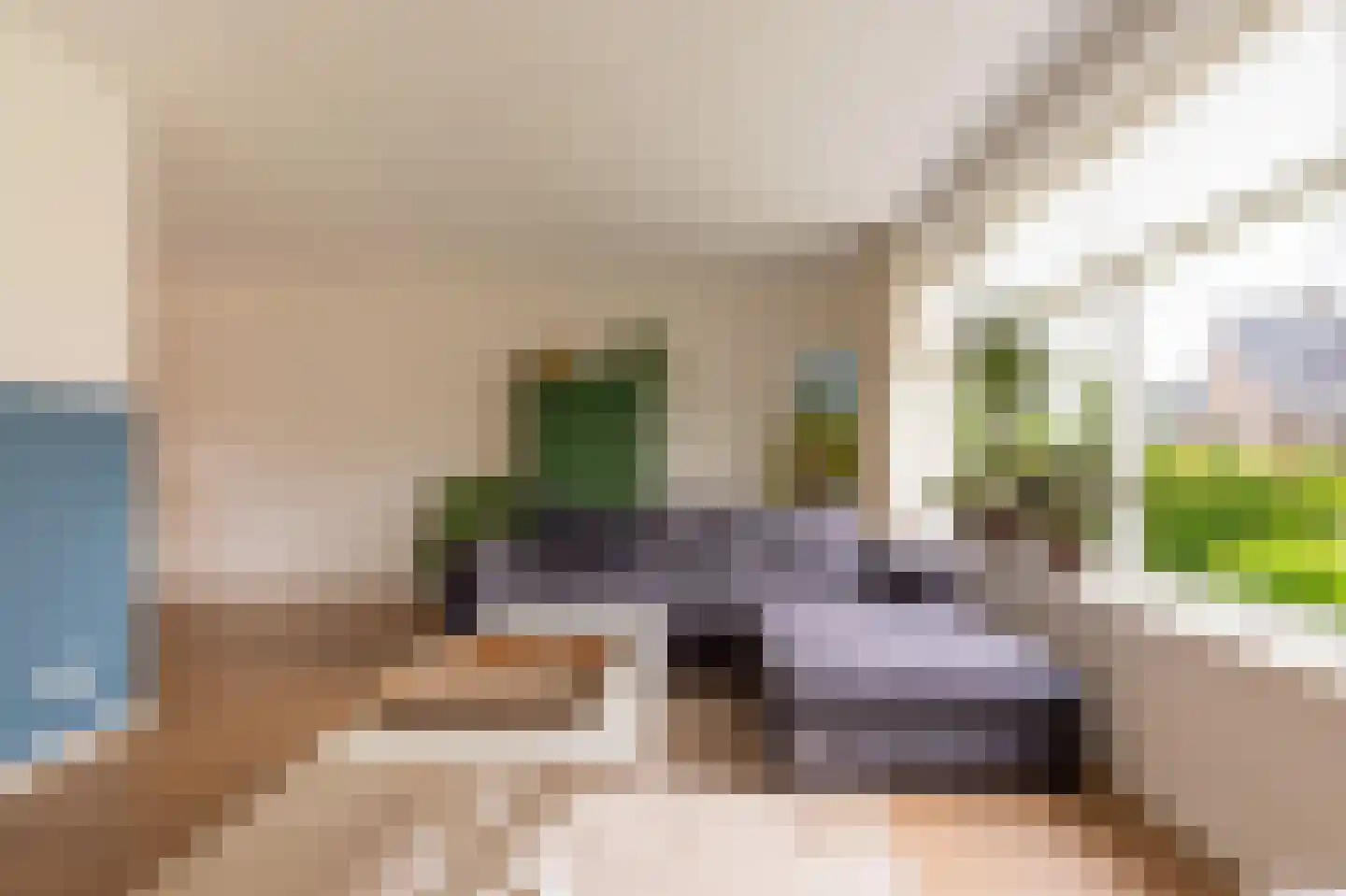 Kleine Hagen 36 Laag Zuthem thumbnail 8