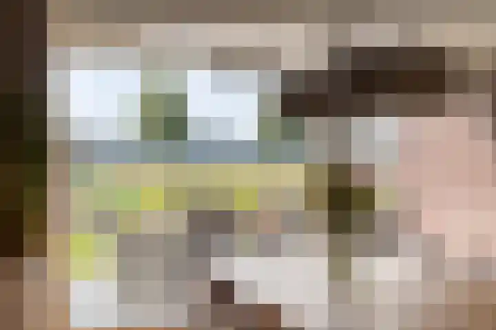Kleine Hassel 11 Lage Mierde thumbnail 12