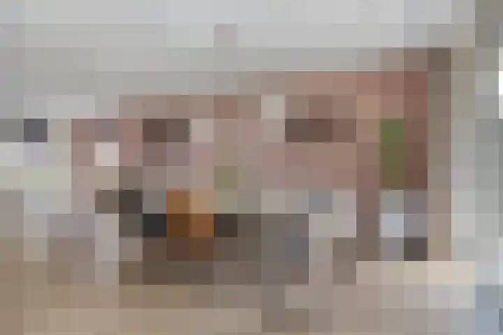 Kleine Hassel 11 Lage Mierde thumbnail 13