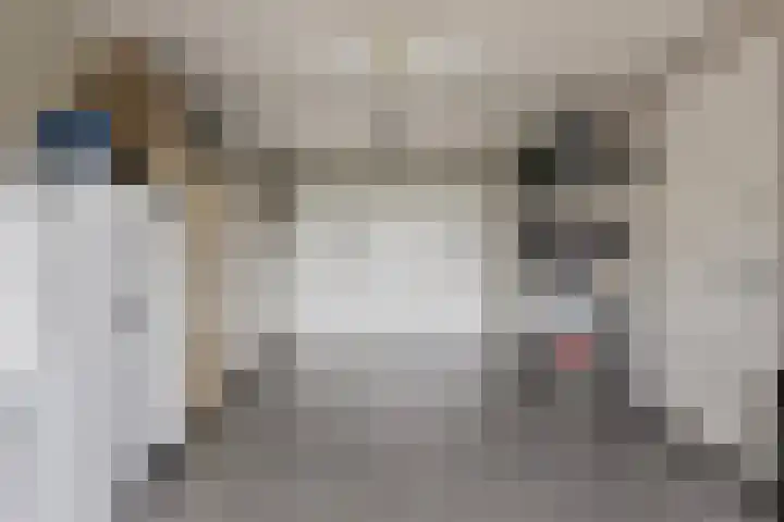 Kleine Hassel 11 Lage Mierde thumbnail 19