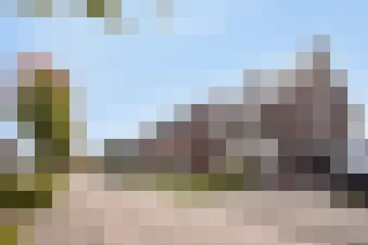Kleine Hassel 11 Lage Mierde foto 2
