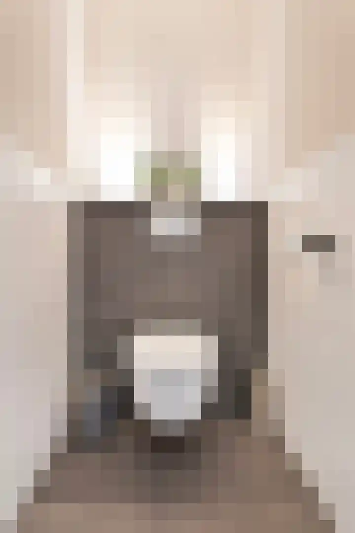 Kleine Hassel 11 Lage Mierde thumbnail 23