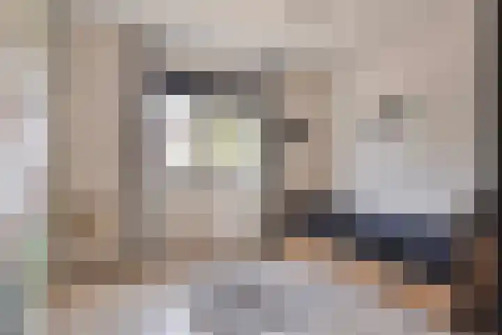 Kleine Hassel 11 Lage Mierde thumbnail 27