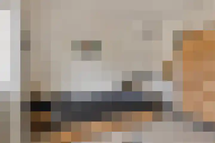Kleine Hassel 11 Lage Mierde thumbnail 28