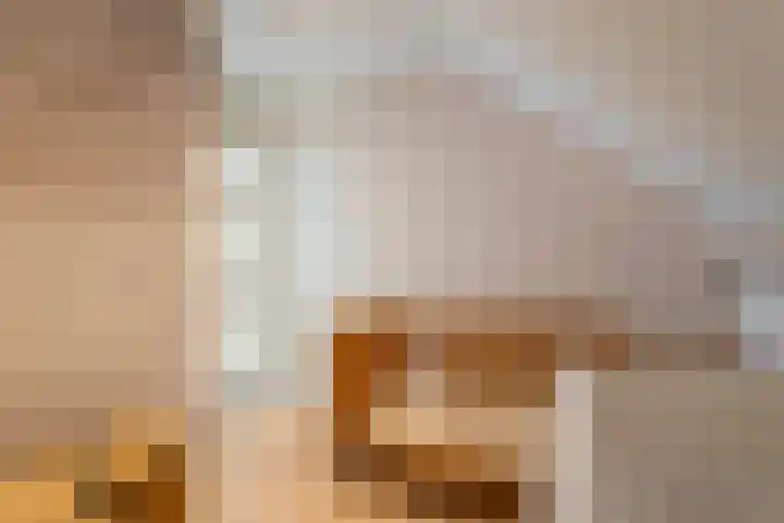 Kleine Hassel 11 Lage Mierde thumbnail 37
