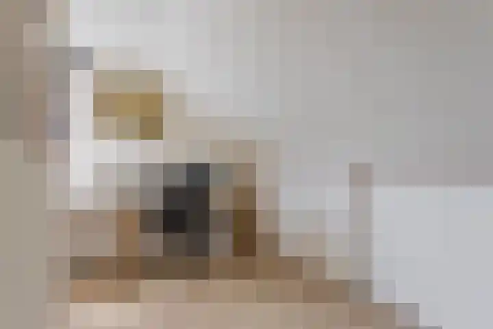 Kleine Hassel 11 Lage Mierde thumbnail 39
