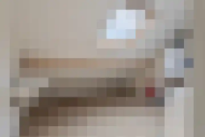 Kleine Hassel 11 Lage Mierde thumbnail 41