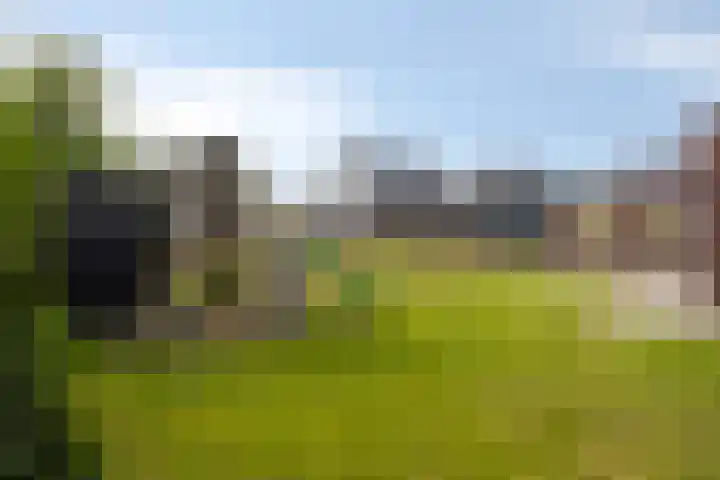 Kleine Hassel 11 Lage Mierde thumbnail 45